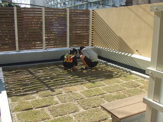 20101212 025.jpg